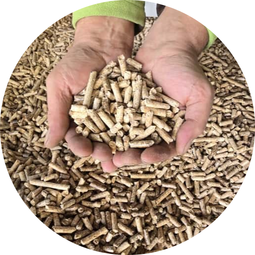 1000kg Eichen-Pellets - ENplusA1 - BigBag auf Palette 1000kg Eichen-Pellets - ENplusA1 - BigBag auf Palette
