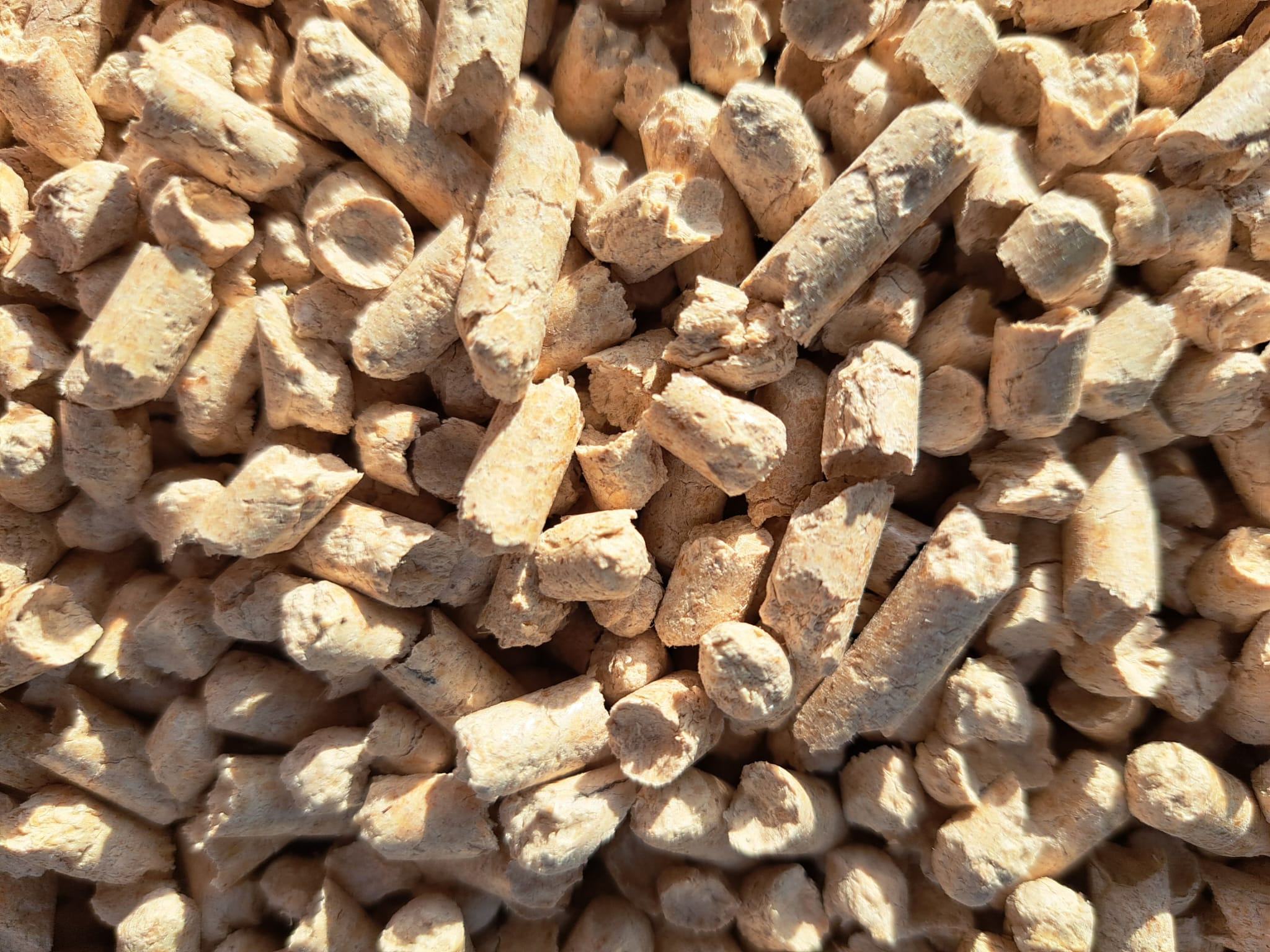 960kg Besonders hell! Premium-Einstreu-Pellets aus Holz