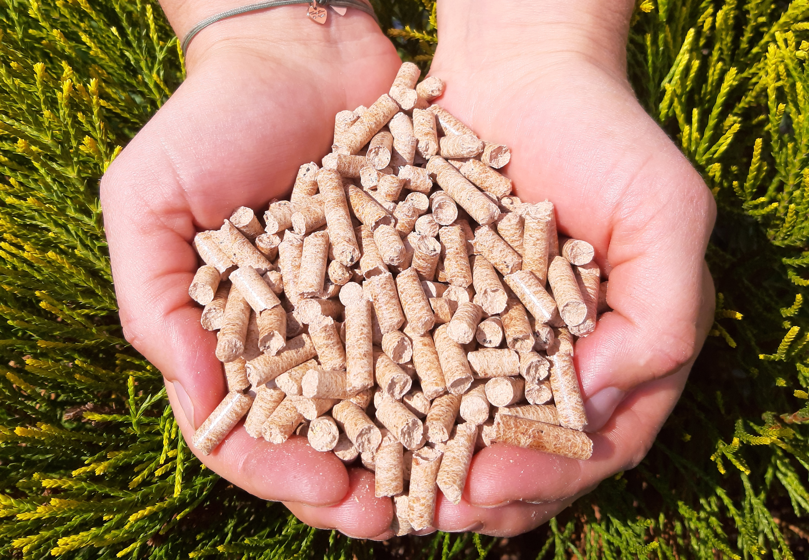 Buchen-Pellets im Weber Smokefire, Träger, BBQ-Toro und Co.