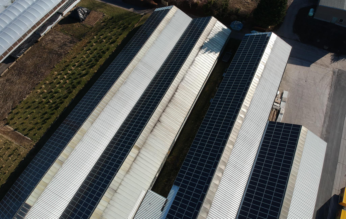 Naturbrennstoffe Kretschmann Halle von oben