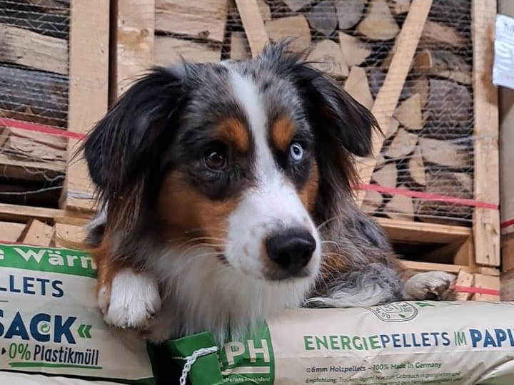 Erst beraten - Dann verkaufen!